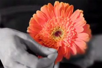 10 Aralık Turuncu Yürüyüş